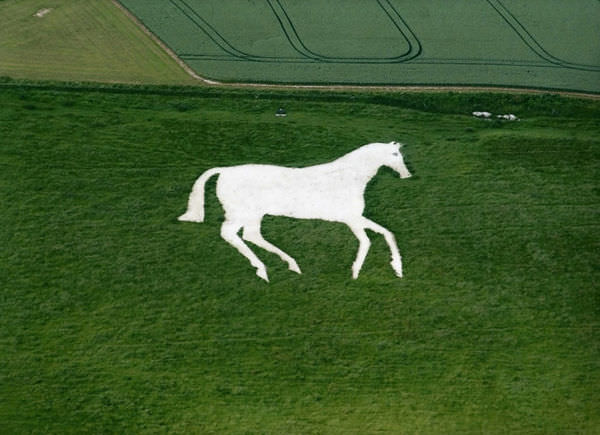 10_The_new_Devizes_white_horse