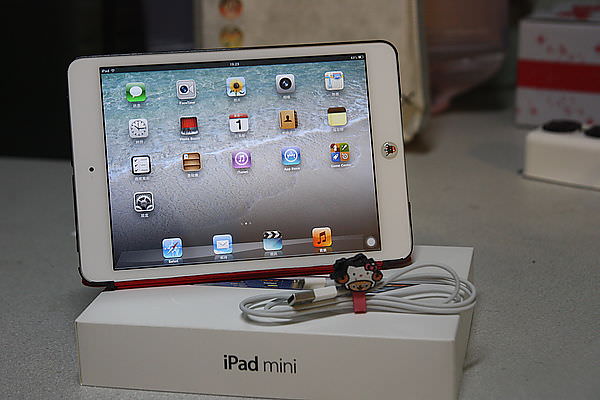 iPad mini 004